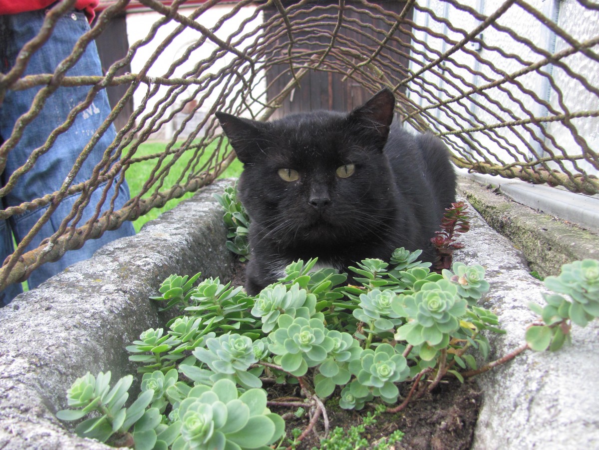 Všade dobre, vonku najlepšie!