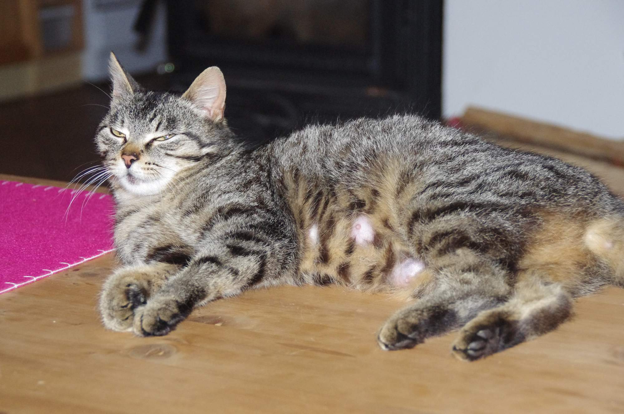 Príznaky blížiaceho sa pôrodu