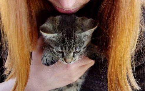 17 znamenie, že ste narazili na kočkoholičku