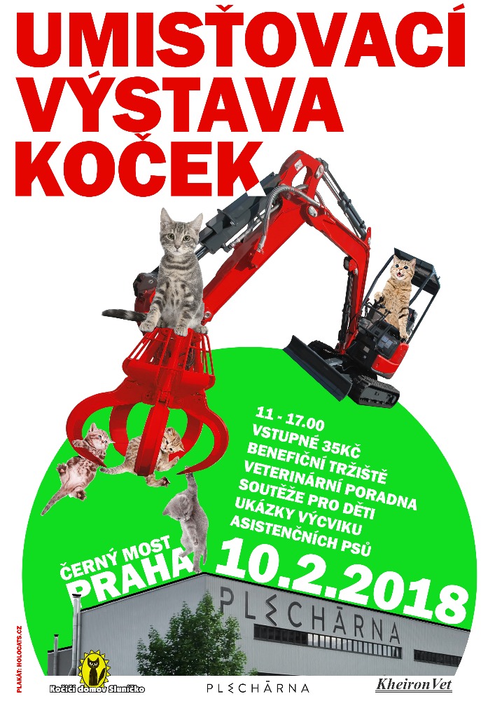 Pozvánka: umiestňovacích VÝSTAVA MAČIEK BEZ DOMOVA 10. 2. 2018