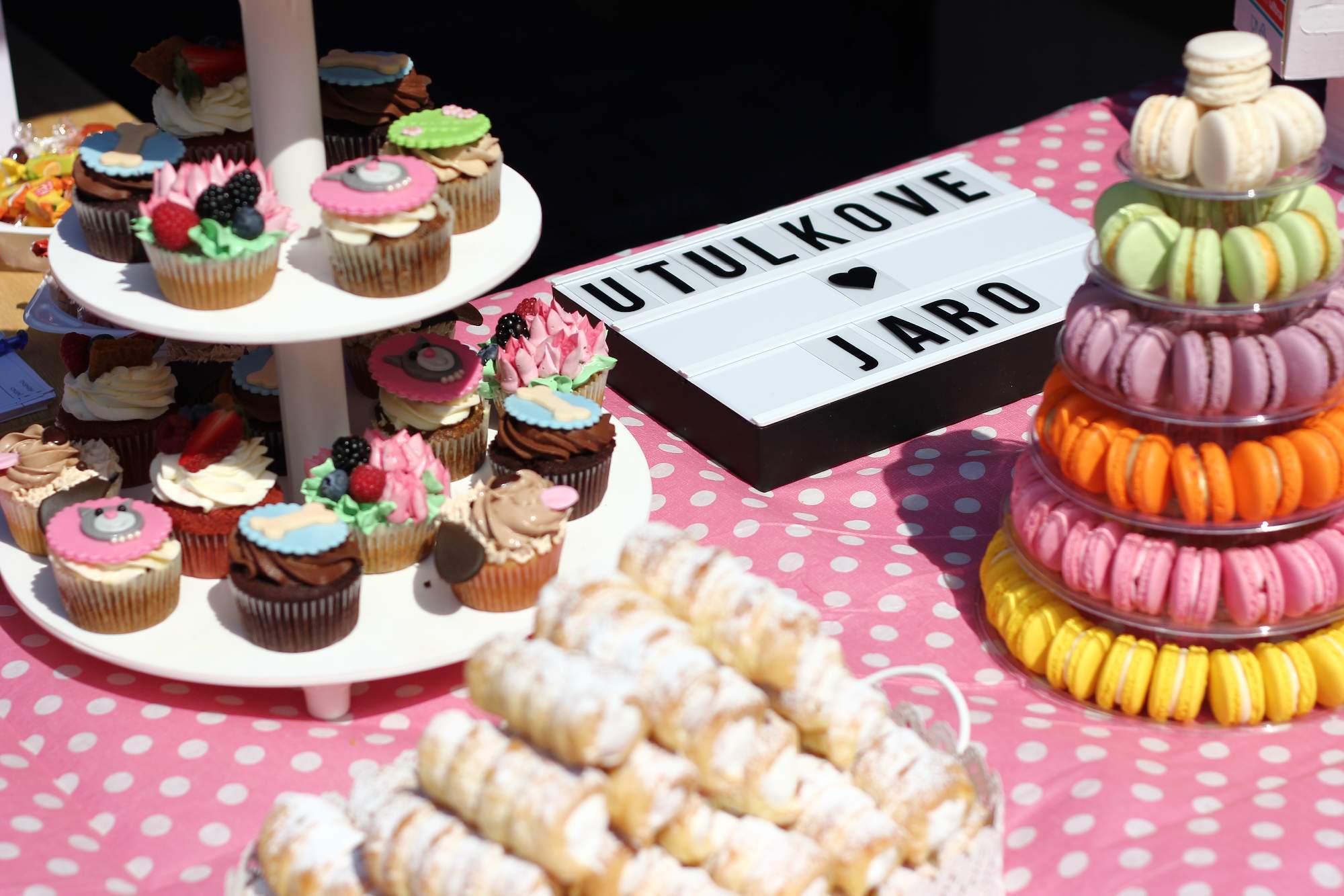 Príďte s nemo tvárou privítať jar do Útulku pre zvieratá v núdzi Zlín-Vršava