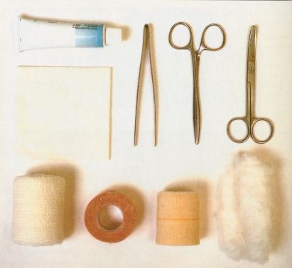 Poskytnutie prvej pomoci psovi