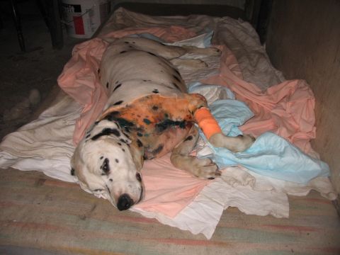 Najčastejšie úrazy a ich ošetrenie