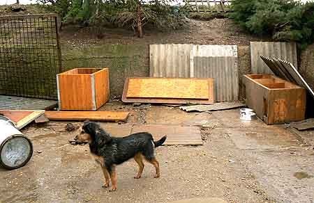 Víchrica zničila psie útulok v Kralupoch