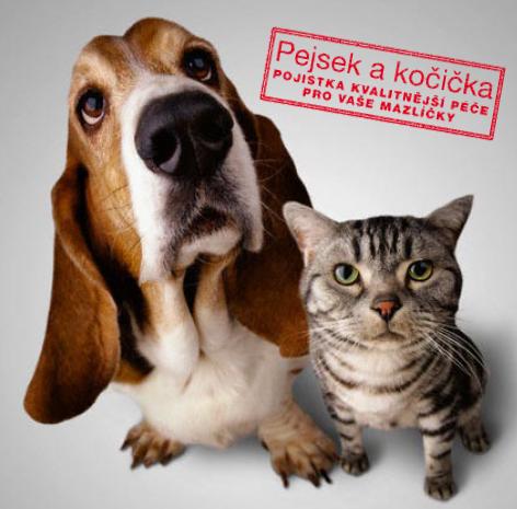 Príbeh šteňaťa menom Max