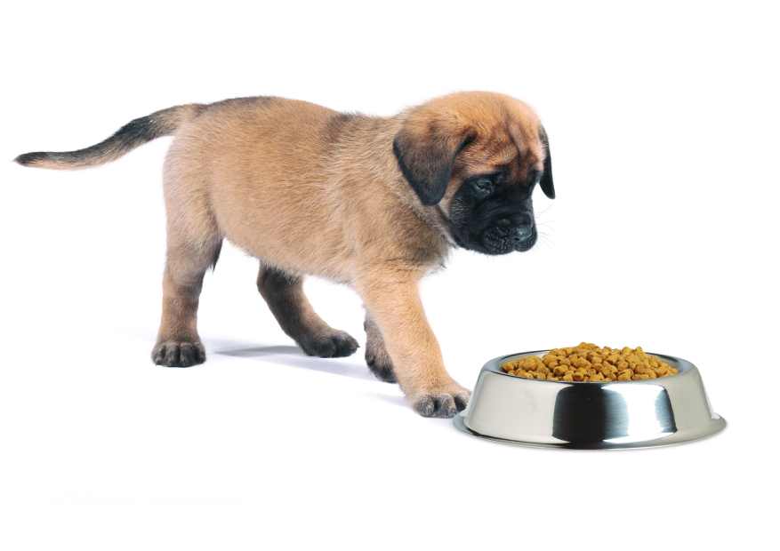 Pre najlepší štart do života