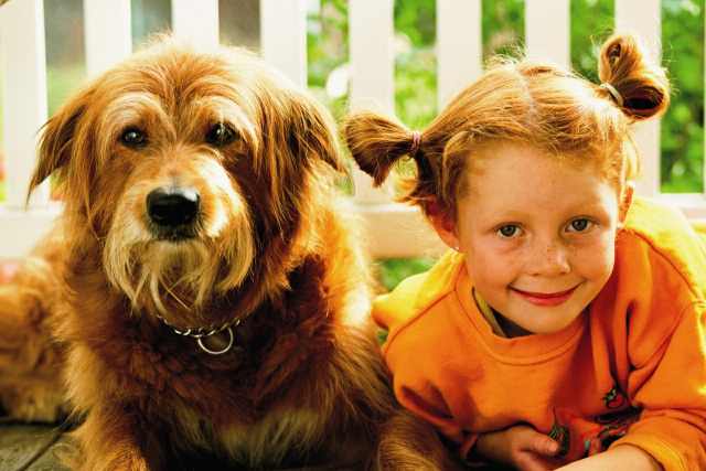 Najväčšia celorepubliková montážne výstava zvierat z útulkov prebehne 20. septembra