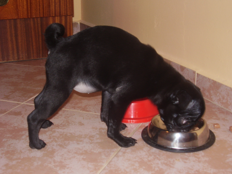 Ako sa vyznať v granulách?