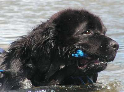 Predvedenie vodných prác