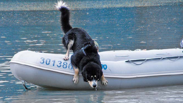 Vodné práce vo svete