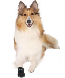 Topánočky pre psov