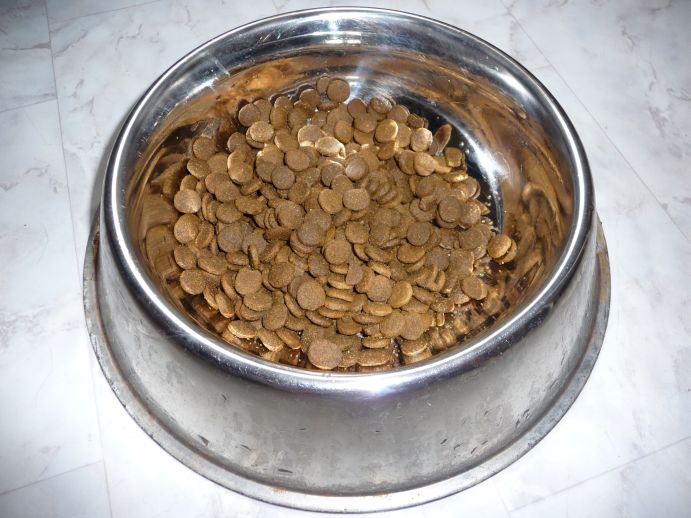 Kŕmenie v čase krízy