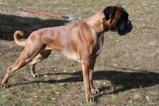 Dlhý a spokojný život aneb správna výživa je základ