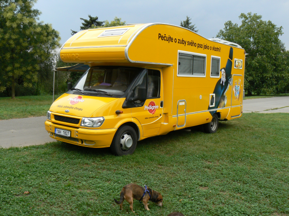 Vyšetrenie psieho chrupu zadarmo
