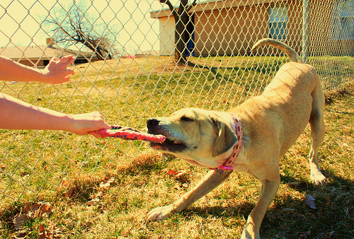 Hra na preťahovačku