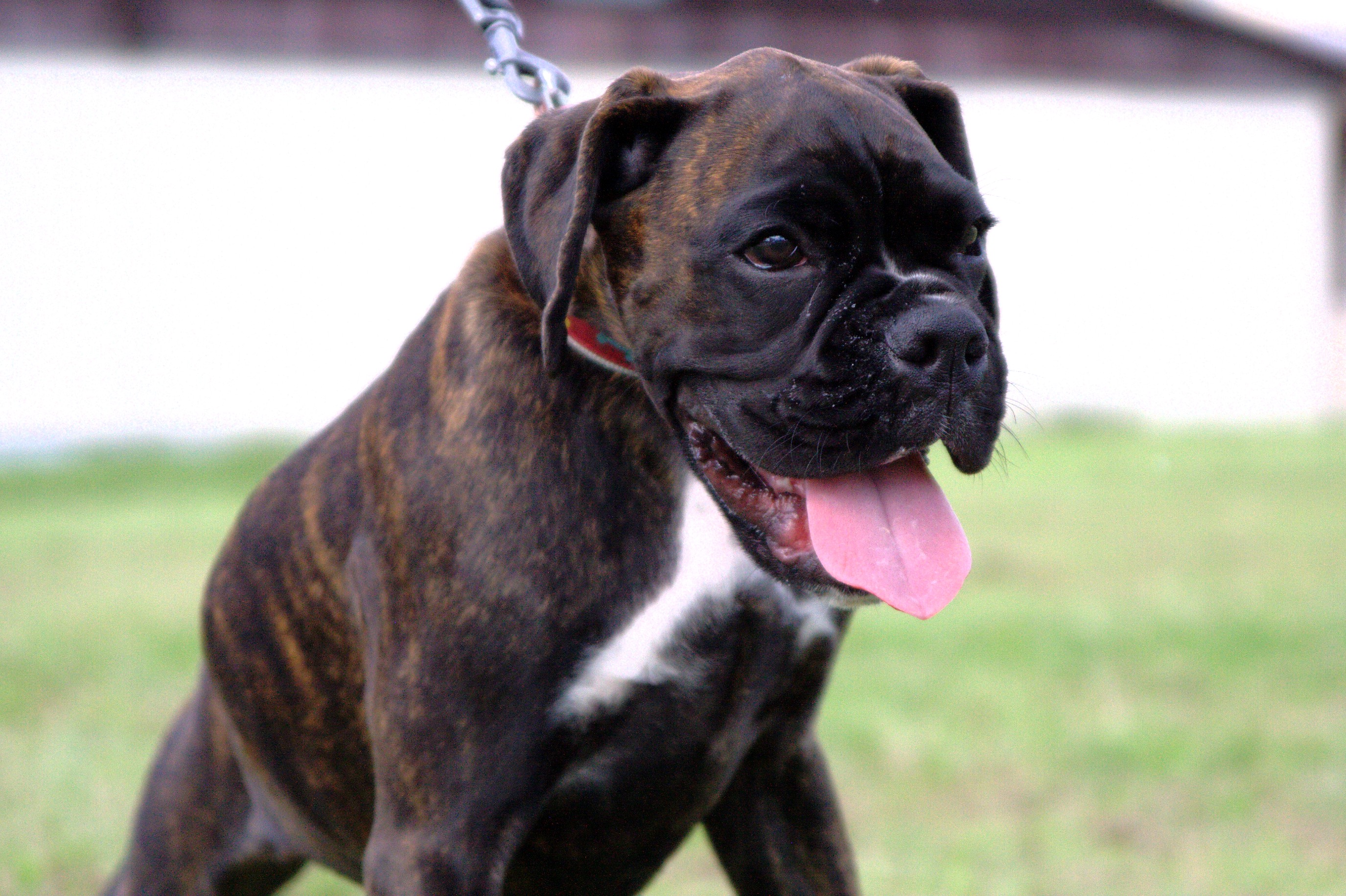 Prečo študovať rodokmeň?