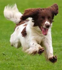 Privolanie pre začiatočníkov