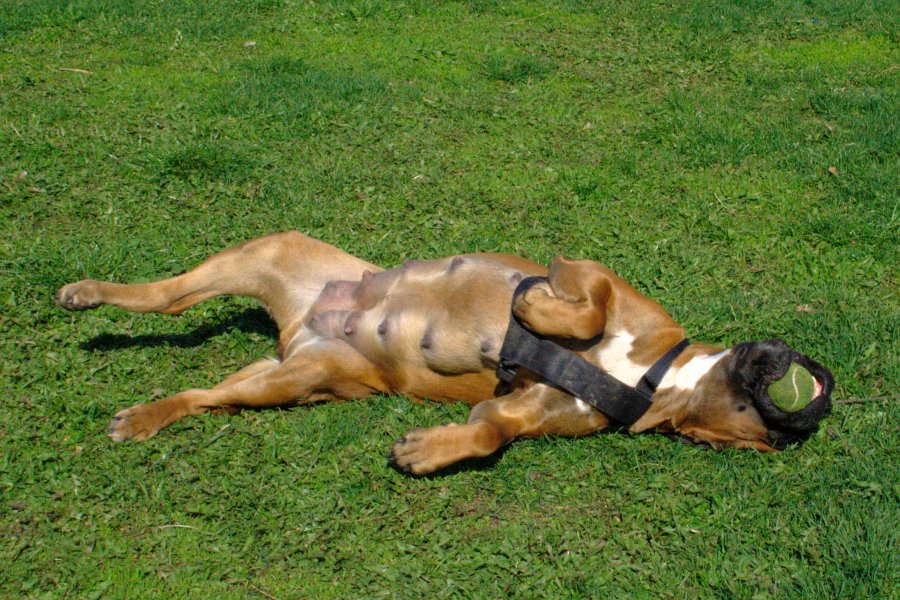 Čo vás zaujíma & # 8230;