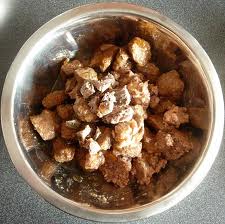 Ako prebieha trávenie u psov?