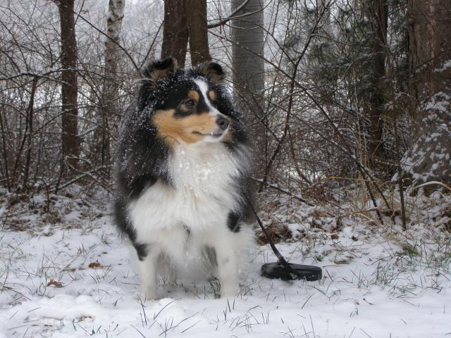 & # 8222; Zostaň & # 8220; pre začiatočníkov