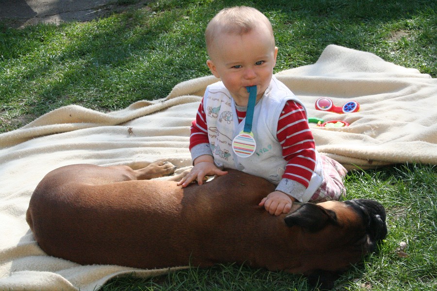 Bábätko ako nový člen svorky