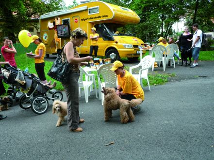 Psie zubárovi tento rok navštívi 44 miest