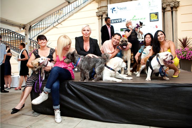 Labky nahor pre charitu