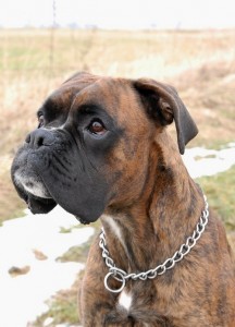 Problémy s agresiou