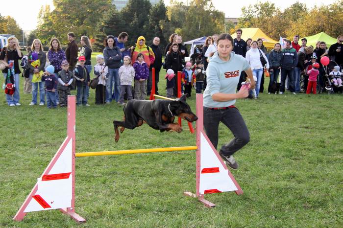 Pozvánka na SVETOVÝ DEŇ ZVIERAT