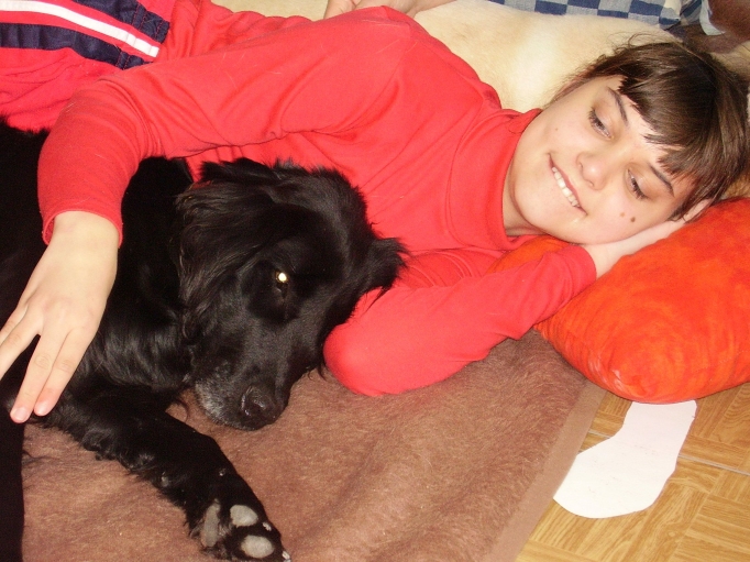 Aký pes je vhodný na canisterapiu?