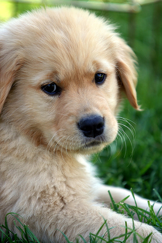 Rady o výchove pre začiatočníkov