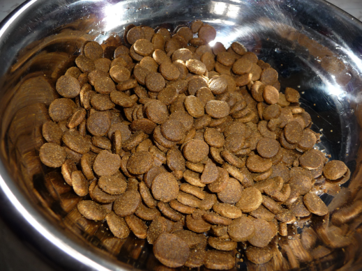 Pár slov o optimálnom zložení psie stravy