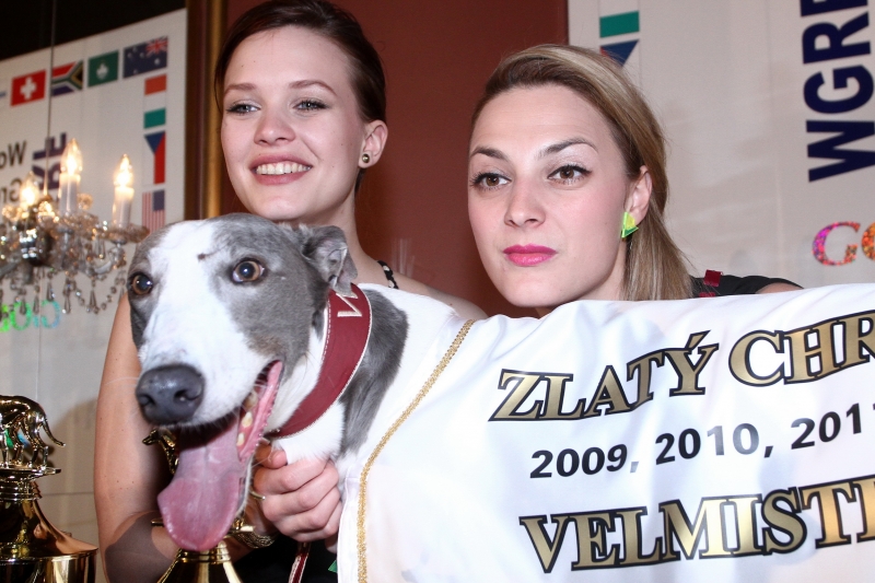 Chrtie & # 8222; Oskar & # 8220; opäť v Prahe