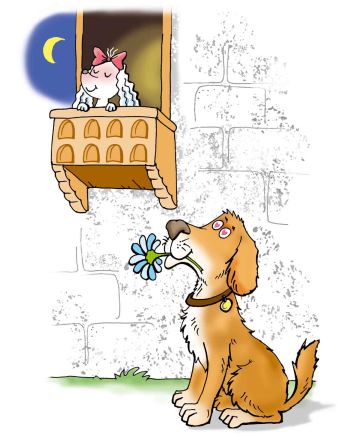 Zadané pre psie samca