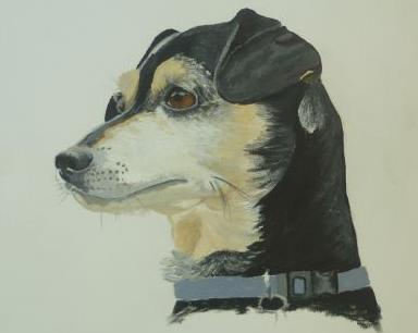 Charitatívne aukcie obrazov v Pardubiciach