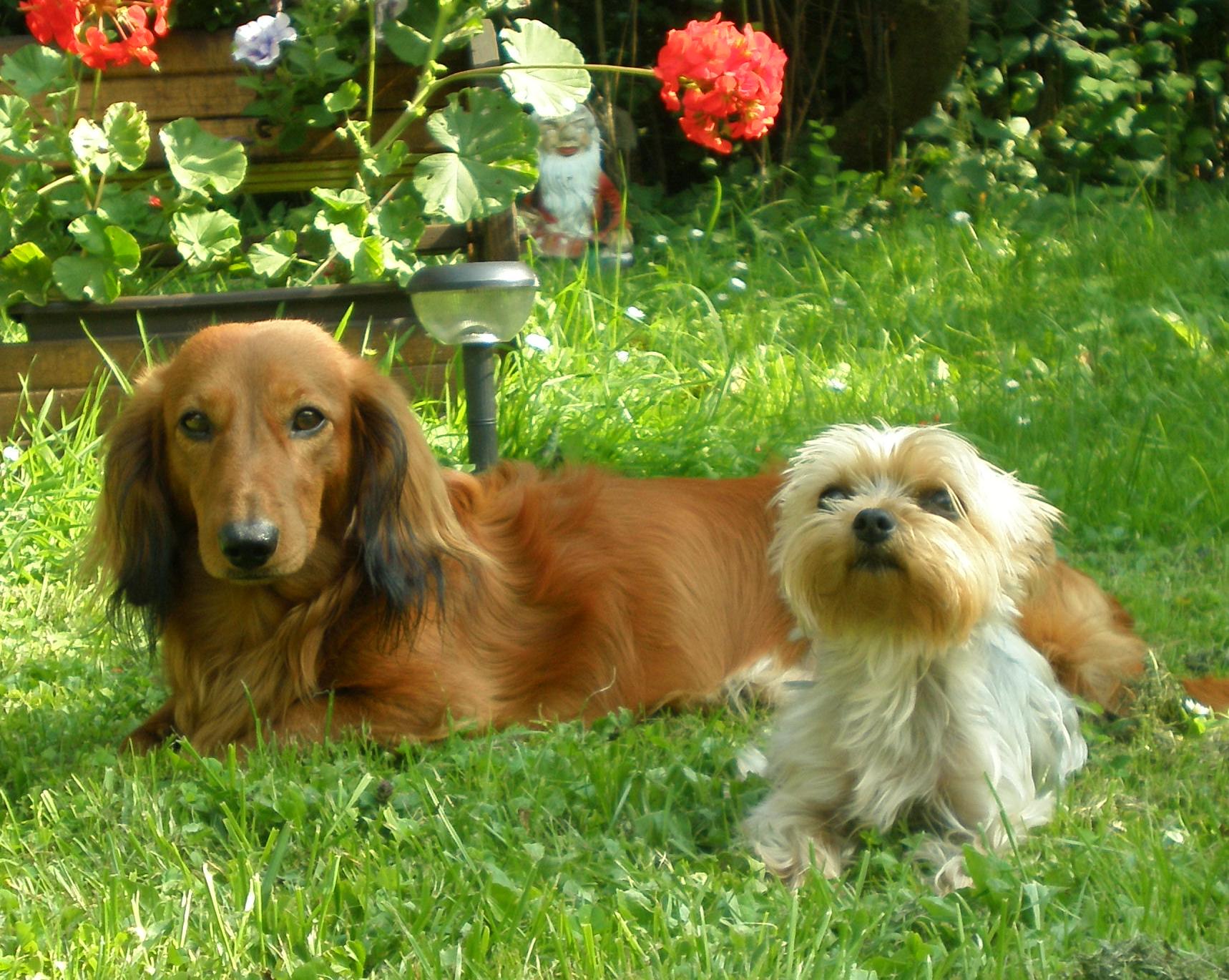 Čo je potrebné vedieť pri zdravotnej diagnostike?