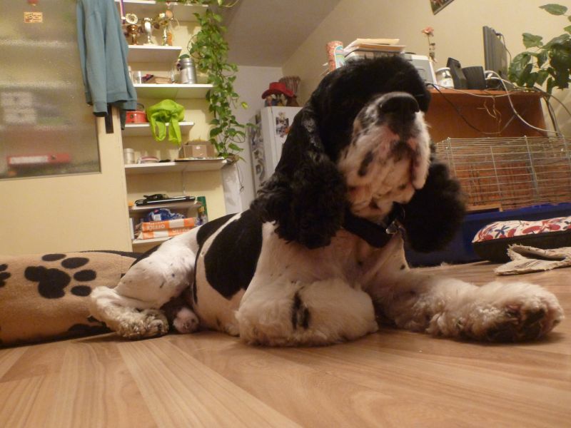 Na prázdniny do hotela?