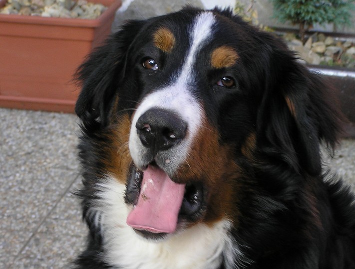 Nuda, alebo strach zo samoty?