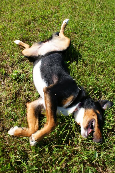 Váľanie sudov - ako na to?