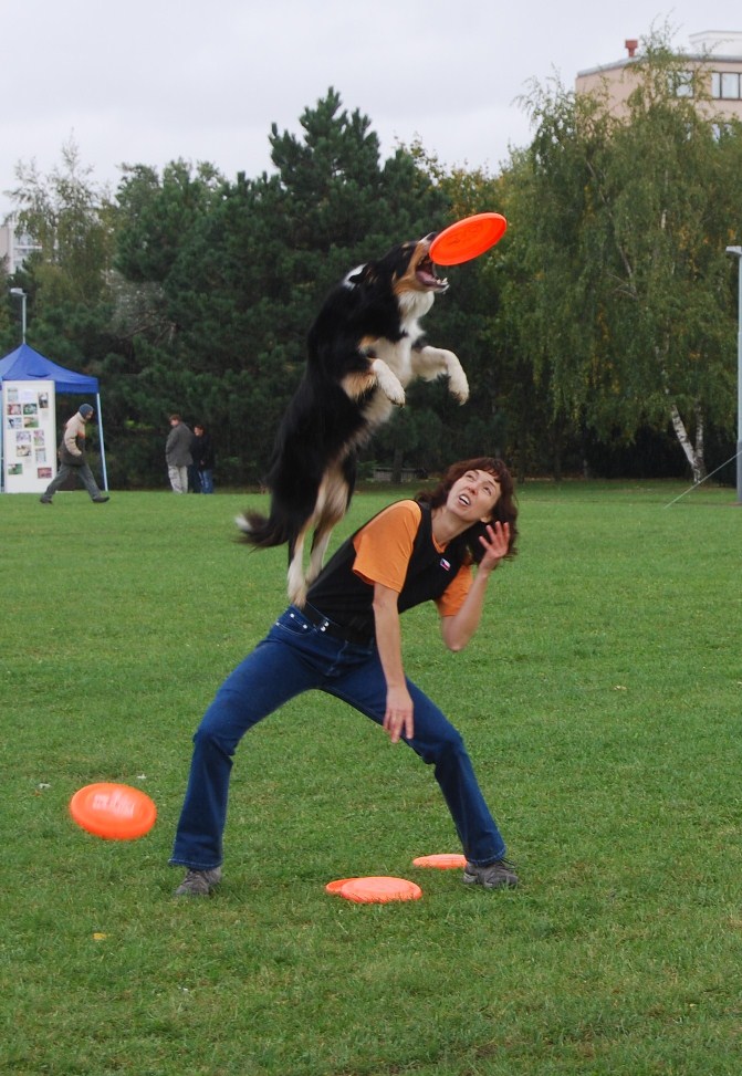 Pozvánka: Svetový deň zvierat