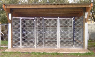 Šteňa a psie koterec