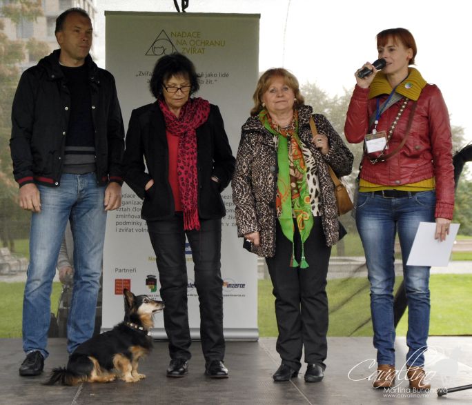 Svetový deň zvierat - ako bolo?