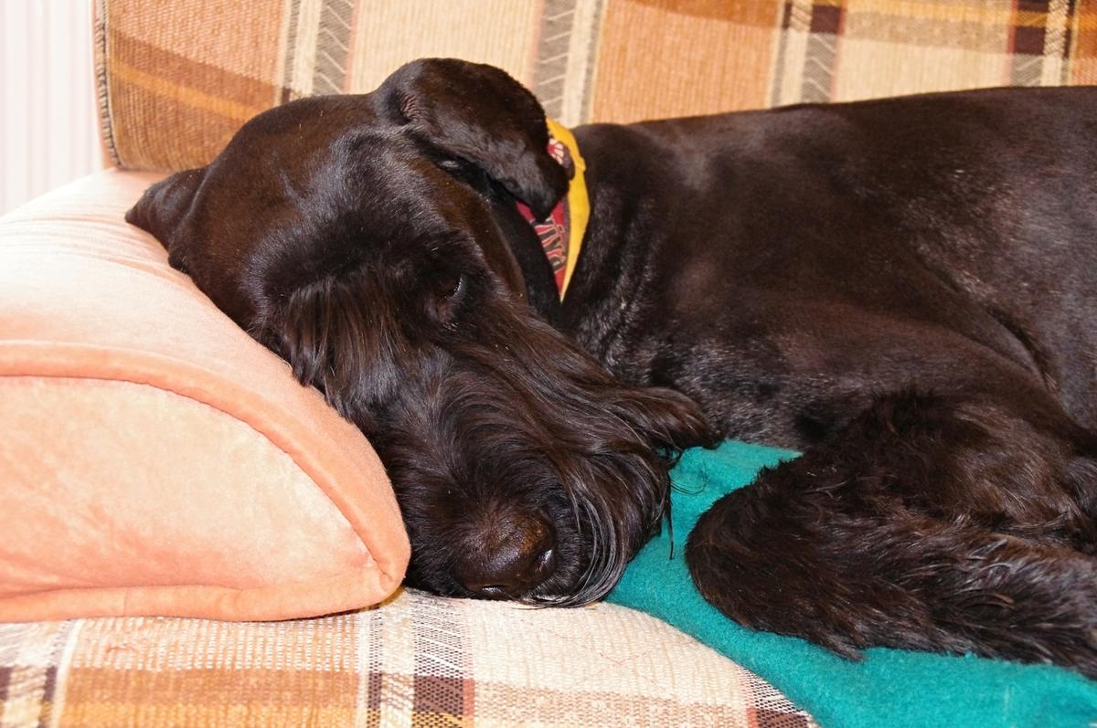 K čomu slúži vitamíny?