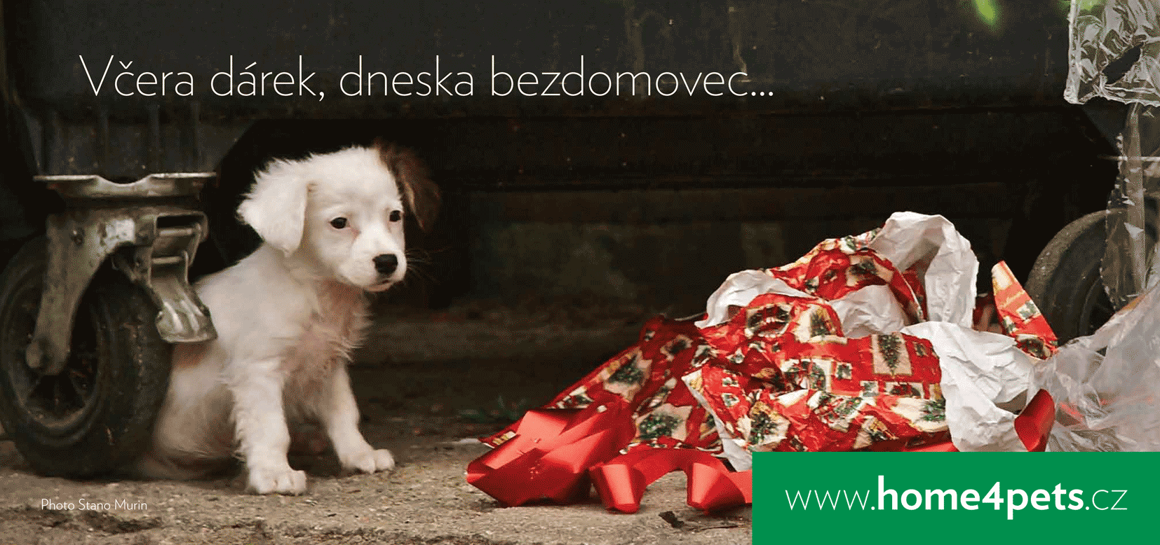 povianočná bezdomovci