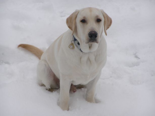 Tip na hru - Choď k & # 8230;