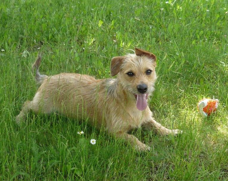 Falošná gravidita & # 8211; čo robiť?