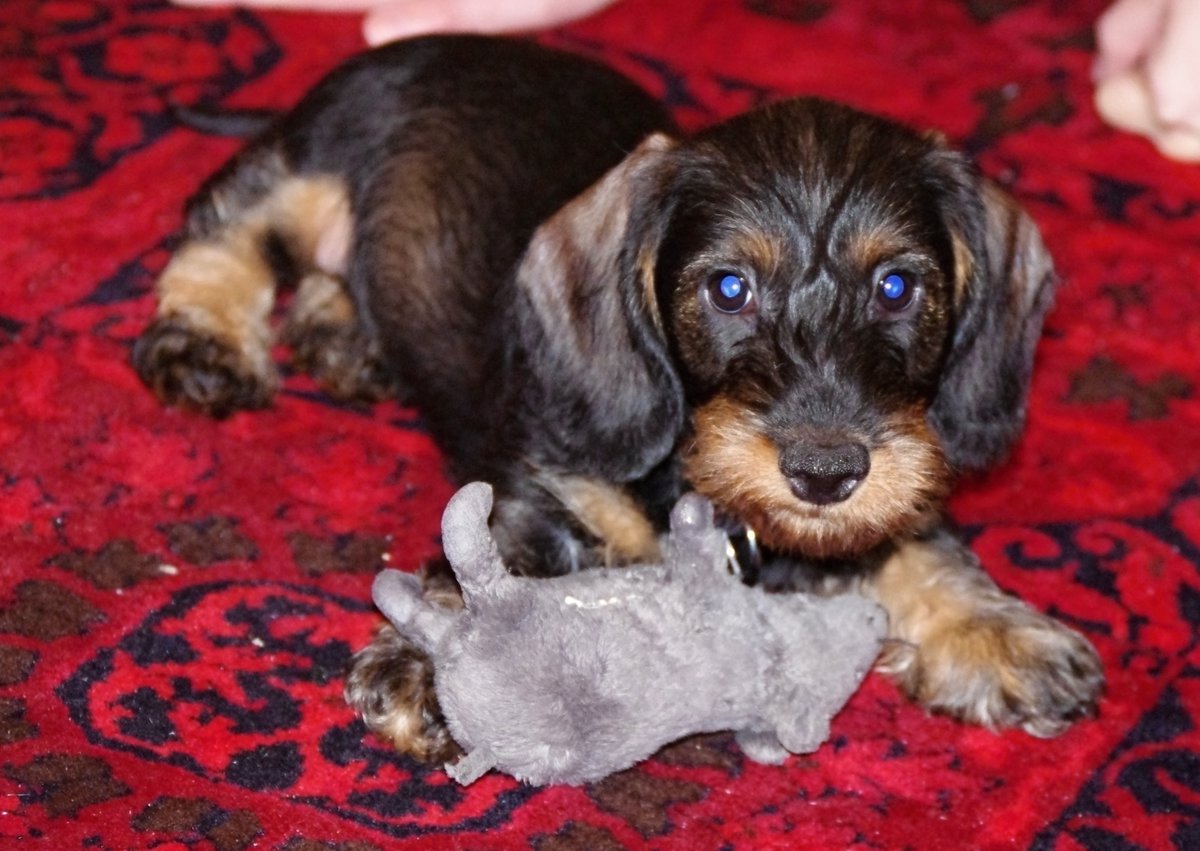 7 jednoduchých krokov k úspešnému cvičenie