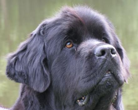 Ako podporiť správny rast kostry?