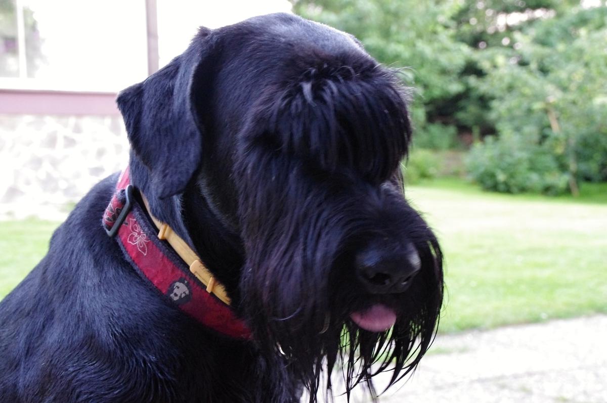 Jazda autom nemusí byť utrpenie