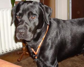 Praktický tip na cvik & # 8211; zatváranie dverí